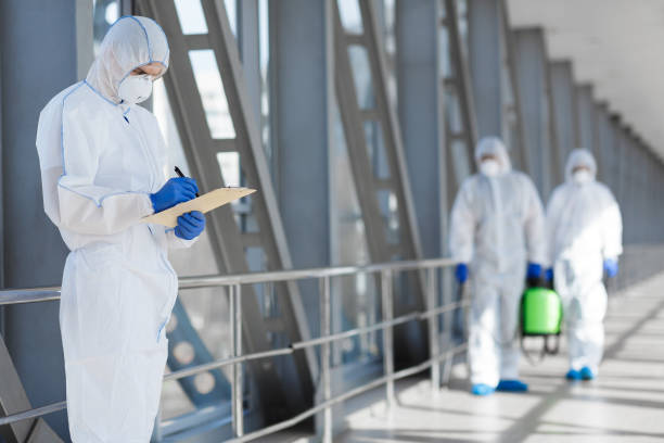 Best Mold Odor Removal Services  in West Point, KY