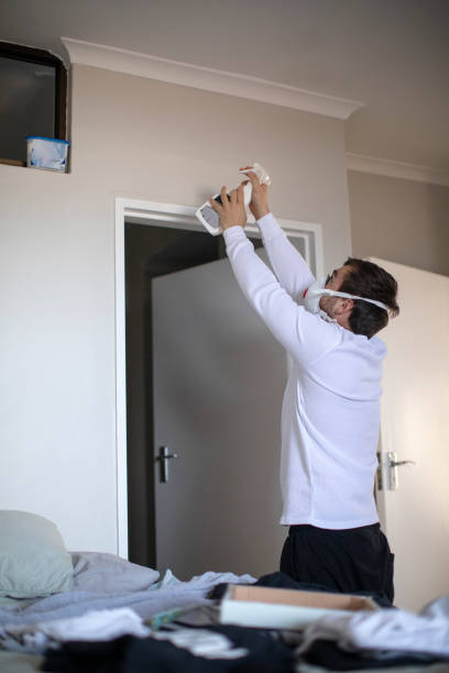 Trusted West Point, KY Mold Removal Experts