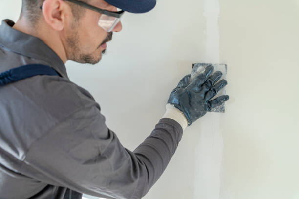 Best Basement Mold Removal  in West Point, KY