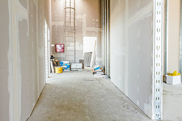 Best Comprehensive Air Testing for Mold Contaminants  in West Point, KY